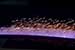 Laser Technology Means More Efficient Thin Film Cells
