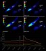 Multichannel Images Captured Simultaneously with Maximum Resolution