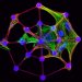 Research Groups Develop New Tools to Control Cells