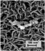 Completely New Material Having Significance in Carbon-Carbon Composite Field and Other Applications