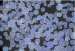 Microscopic Polymer Beads that Change Color Instantly and Reversibly