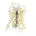 Flow of Water into and out from Cells Play Crucial Role in Several Types of Cancer