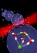 The Smallest Droplet of Acid