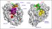 Inhibitor Molecules Could Become Drugs to Block Deadly Poison