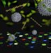 Using Nanoparticles and Polymers to Differentiate Between Healthy and Cancerous Cells