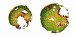 Three-Dimensional Reconstruction of HIV using New Electron Microscopy Images