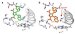 Scientists Uncover Vital Role Of Water In The Generation Of The Antitumor Drug