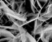 Tel Aviv University Develops Superior Method For Coating Orthopaedic And Dental Implants