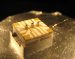 Novel Ion Trap for Sensing Force and Light