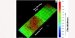 Researchers Develop Method for Printing Toxin-Detecting Biosensor on Paper