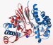 Crystal Structure Could Offer New Therapies