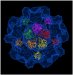 Rice Lab's Atomic Map of Hepatitis E may Reveal Strategies to Fight it