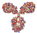 New Technical Note Covers Measueremt and Characterization of Proteins