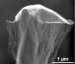 Rice Scientists Use Nanomaterials To Grow Flying 'Odako' Kites