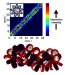 Nanoengineers, Biologists and Physicists Use Innovative Approaches to Deduce Internal Structure of Chromatin