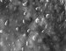 Dream of Self-Healing Surfaces has Taken Another Step Towards Becoming Reality