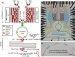 Performing More Than a Thousand Chemical Reactions at Once on PC-Controlled Microchip