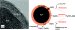 Increasing Evidence Suggests Nanoscale Zerovalent Iron Effective for Removal of Arsenic from Contaminated Water
