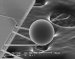 Lab Experiments and Theoretical Research Aimed at Reducing Casimir Force Between Objects