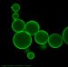 Zetasizer Nano from Malvern Fast Emerging as System of Choice for Particle Characterization