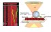 Scientists Measure Drag/Friction of Single Molecules