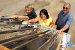 UC Merced to Lead Multicampus Research Program on Solar Energy using Nanotechnology