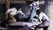 High Energy Synchrotron Unveils Long-Hidden Wyeth Painting