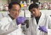 Using Quantum Dots to Detect External Chemical Modifications to DNA