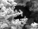 Environmental Effects of Nanotechnology and Nanomaterials