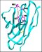 Technique Could Lead to Better Biosensors, Disease Therapeutics and Diagnostic Reagents