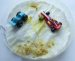 Researchers Develop First Ever Biological Robot Using Mould
