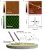 Nanotechnology Researchers Discover Way to Make Cheap Nanostructures of Luminescent Conjugated Polymer with Micron-Sized Tools
