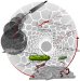 Biosensor Detecting Very Low Levels of Salmonella