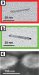 Technique Increases Electrical Conductivity of Cadmium-Selenide Nanorod Crystals by 100,000 Times