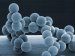Conference Focuses on Production and Effects of Airborne Nanoparticles