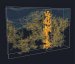 New Light on Operational Principles of Polymer Solar Cells