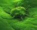 Using Nanotechnology, Biologists and Engineers Hope to Change Paradigm
