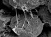 NanoArt 2009 Open to All Artists 18 Years and Older