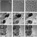 Controlling the Formation of Carbon Nanotubes