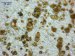 New Technique Separating Ultra-FIns Dust by Size