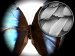 Quantum Mechanics Could Help Build Ultra-High-Res Electron Microscopes that Won't Destroy Living Cells