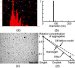 University of Birmingham Use Multiple NanoSight Instruments to Study Virus' and Nanoparticles