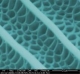 Novel Technique Creates Nano Butterfly Wings