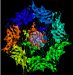 NHGRI to Support USCS on Nanopore Technology for Analyzing DNA