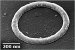 First Definitive Measurements of "Persistent Current"