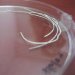 New Biologically Active "Scaffold" Made from Soluble Fibers