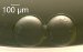 Artificial Cells Acting as a Tiny Battery