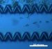 Princeton Awarded $15.2 Million from NCI to Explore Driving Forces Behind Evolution of Cancer