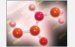 Researchers Create New, Ultra-Sensitive Technique to Analyze Life-Sustaining Protein Molecules