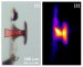 Accelerating Protons to Energies Never Before Achieved